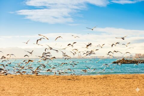 Malaga Strand